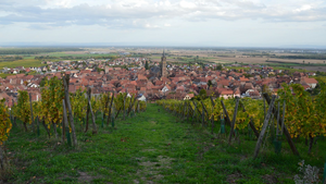 Pompes funèbres Lingolsheim